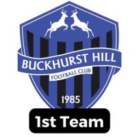 Buckhurst Hill FC 1st(@BHFC_1st) 's Twitter Profile Photo