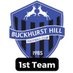 Buckhurst Hill FC 1st (@BHFC_1st) Twitter profile photo