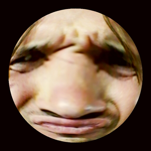 wouterwolbers's profile picture. Leef!