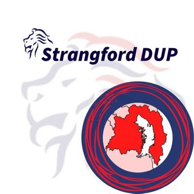 DUP Strangford Constituency Association
#movingforwardtogether