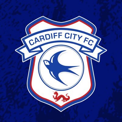 The official Twitter feed of Cardiff City Football Club. ❓ @CardiffCitySLO 💙 @BluebirdBartley #CardiffCity #Bluebirds #CityAsOne