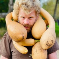 David Walston (@ooofarmer) 's Twitter Profile
