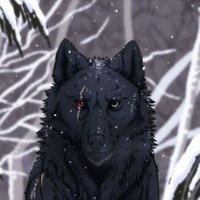 b l a c k . w o l f (@wolfofallsaiyan) 's Twitter Profile