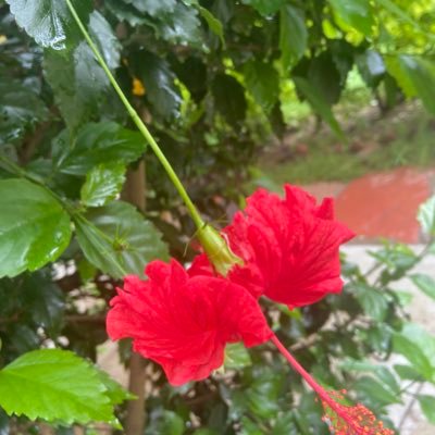 rohitjain21071's profile picture. तुम ज़मीन पर ज़ुल्म लिखो, हम आसमान पर इंकिलाब लिखेंगे