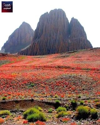 Seuls les tonneaux vides qui font le plus de bruit,
L'arbre fruitier se penche vers le bas tandis-que l'arbre sauvage se tend vers le haut.....!