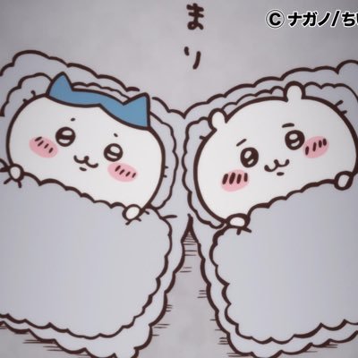 aeiouaeiou4592's profile picture. 