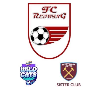 Account for the mighty FC Redwing FA Wildcats Centre and Teams. FREE football training for girls aged 5-11. #weareredwingers