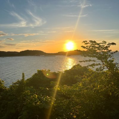 l4nszPbx0OsicMG's profile picture. 