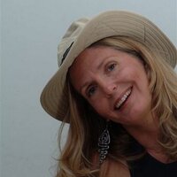 Pam Grout (@pamgrout) 's Twitter Profile