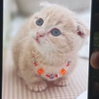 Umere!! (@umereeo2) 's Twitter Profile