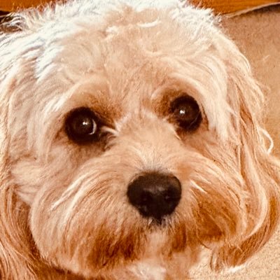 Finchfingers's profile picture. Born in Wolverhampton