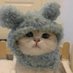 bu evrende dyt olarak atanık (@buevrendedyt) Twitter profile photo bu evrende dyt olarak atanık (@buevrendedyt) Twitter profile photo