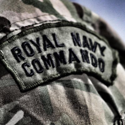 Commando Forward Surgical Group