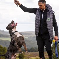 Brownie (@farddabrown) 's Twitter Profile