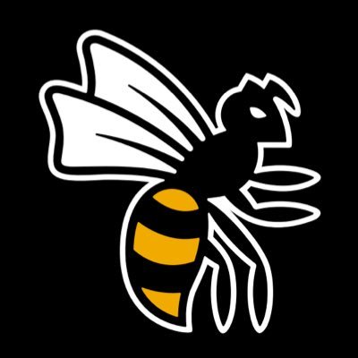 waspsnetball Profile Picture