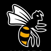 Wasps Rugby (@waspsrugby) 's Twitter Profile