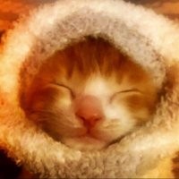 ゴウ (@mkigoo5) 's Twitter Profile