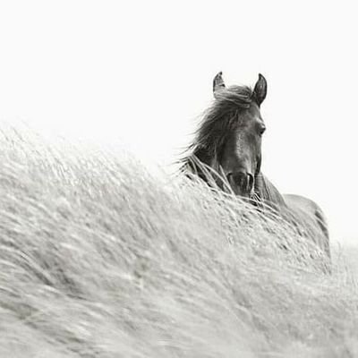 Mustafa01275715's profile picture. Kişisel paylasimlarim