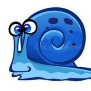 CardanoSnail's profile picture. 