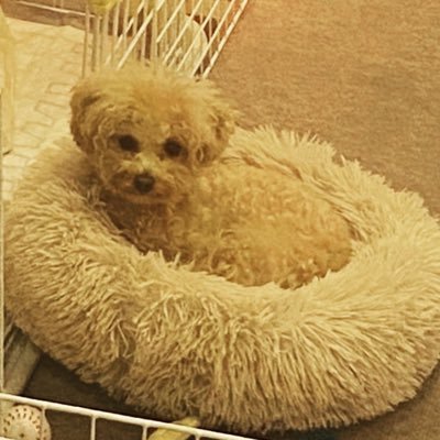 FT11LAA17's profile picture. 金光学園中69期 / 野球/バスケ/Mr.Children/Indigo la End