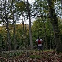 Dom (@domderdenker) 's Twitter Profile