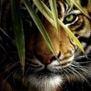 damien guyot - @damienguyot6 - Twitter