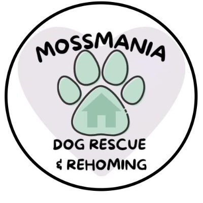 Mossmaniadogs's profile picture. We are a small team based in Romania, busy saving the lives of mistreated, abandoned and poorly dogs. Please contact mossmaniadogs@gmail.com