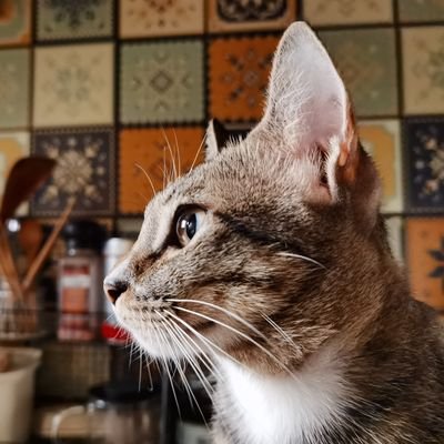 Jagger20556484's profile picture. 佛系聊天，循序渐进
020FQ