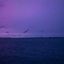 Blerta Ademi - @BlertaAdemi3 - Twitter