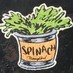 Spinach (@freshspinach) Twitter profile photo