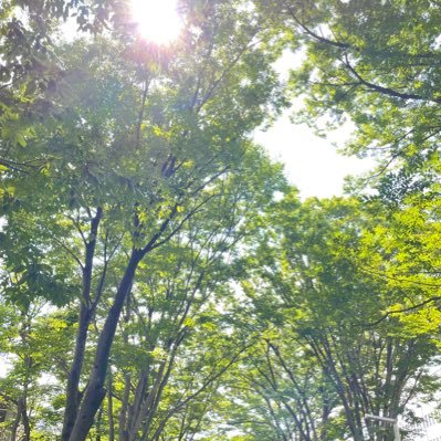 zNhGQpbErghwORV's profile picture. After Effects修行中の学生です！