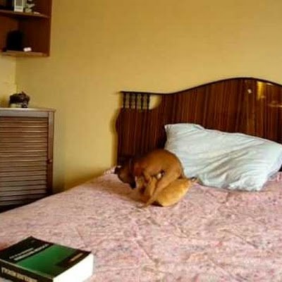 eldorel88's profile picture. 