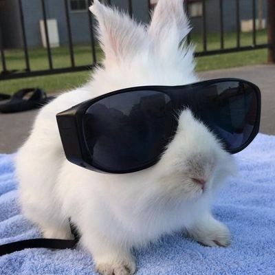 ypocob's profile picture. 