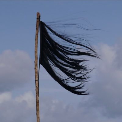 shabshabi's profile picture. 