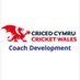 Cricket Wales Coach Development (@WalesCoach) Twitter profile photo