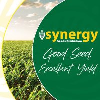SynergySeedsZim (@synergyseedszim) 's Twitter Profile Photo