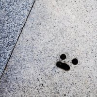 Sarlydro (@sarlydro_l) 's Twitter Profile Photo