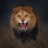 popcassim's profile image