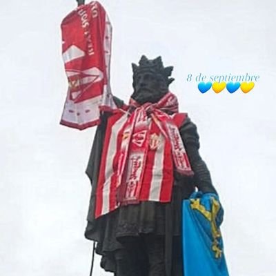 Netassss's profile picture. 