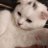 mefe2003's profile image