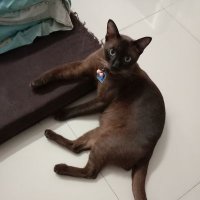 pom1973 (@pom19731) 's Twitter Profile