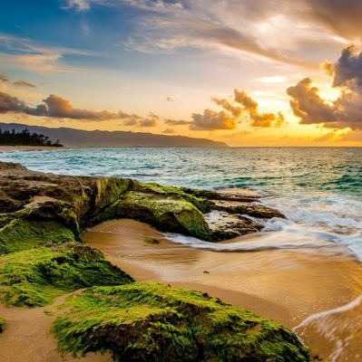 DankoKhoza's profile picture. 