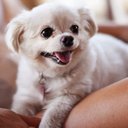 Jane Blake - @JaneBla26230620 - Twitter