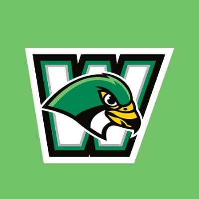Greenburgh Central School District (@greenburghcsd) Athletics & Sports Department & Home of the Falcons!