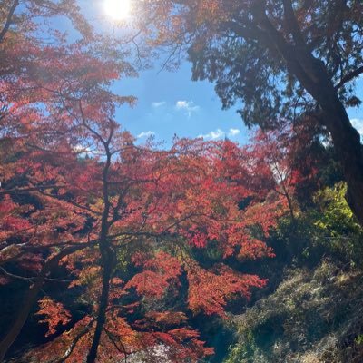 CpR4WDtM7fGeOBr's profile picture. 