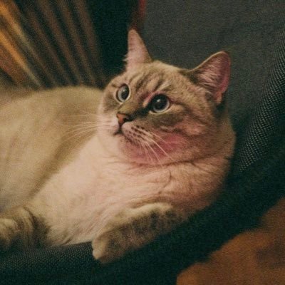 chen__xxxx's profile picture. 南京