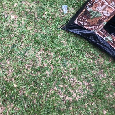 ZakyKadhafi's profile picture. .