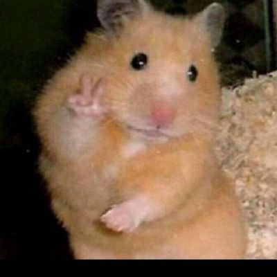 sex_love0801's profile picture. 