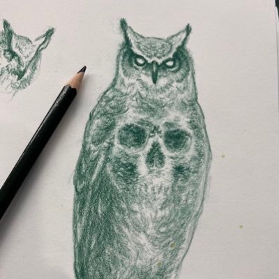 Award winning artist translating the pictures in my head. Always drawing, inking, coloring, painting. I revel in the random. Belongs to an elderly cat.