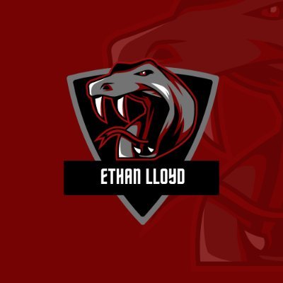 EthanLloydd's profile picture. Streamer Twitch FR.  Je stream sur plusieurs type de jeu. Ma chaîne est juste là 👉 https://t.co/tgeM03goA3
/!\ I don't need Graphic Designer, thank's a lot. /!\